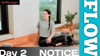 Flow Day 2 &ndash; Notice | 30 Days of Yoga | Mindful Yoga Flow for Beginners & All Levels