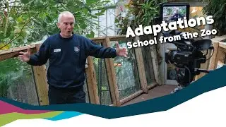 'School From the Zoo' Adaptations (KS2) Online Lesson