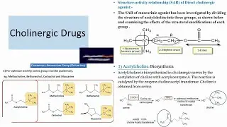 11- MEDICINAL CHEMISTRY_1 : SAR of Direct Acting Parasympathommitecs