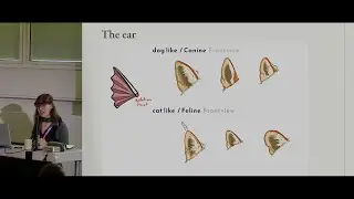 Animals for Games part 2 &mdash; Blender Conference 2025