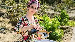 Rice Milk  | Traditional Village Breakfast with Grape Juice