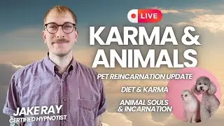 Karma & Animals - Pets, Diet, & Incarntation - Plus Special Update from Pet Reincarnation Video!