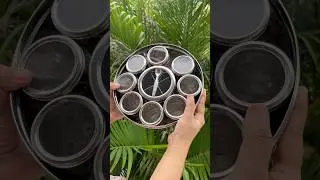 Spice box from Amazon | Stainless steel Masala Box | Amazon kitchen finds |Amazon kitchen products
