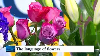 The language of flowers