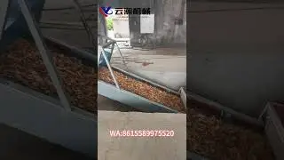 Yunhan 110kw 6t/h wood hammer mill #hammermill # #machine