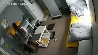 Boys running around room 😸