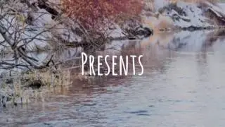 Bird hunting With destination montana