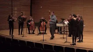 Franti&scaron;ek Jir&aacute;nek (1698-1778): Concerto in g minor for bassoon and strings
