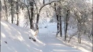 27 January 2026.murree , weather update, Murree min barf, snowfall 
