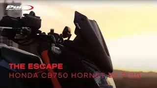 The Escape