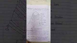 ##shorts Chapter-Apiculture or honey bee keeping (Part-2)b.sc head written notes zoology