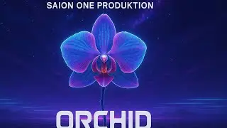 Saion one - Orchid