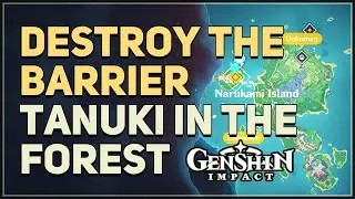 Tanuki Destroy the barrier Puzzle Genshin Impact
