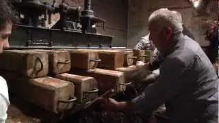 Bodegas Lecea - Fiesta del Pisado de la Uva (San Asensio, La Rioja)