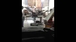 COLORATTI ESTAMPADOS