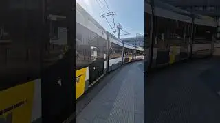 tram de lijn