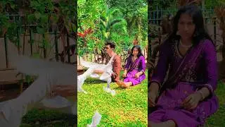 Tere Bina Suna Hai Jahan shorts Teri Yadon Ki Chadar Ud hai short