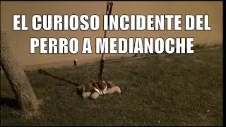 El Curioso Incidente del Perro a Medianoche - Cortometraje 3°A LSP