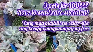 Murang Rare Succulent|Farmers Assorted Succulent|First Unboxing in Month Of July| Hello Birthmonth💋