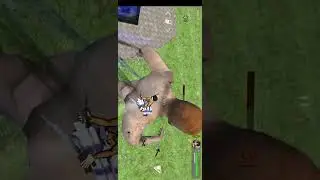 Tutorial download aot di android 