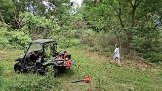 Kelly's Farm Tree cutting Oct 1 2024