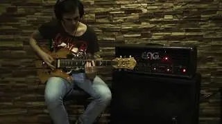 Fokin Pickups Grizzly Set Review