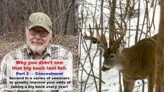 Why you didn't see that big buck last fall &mdash; Part 2 Concealment  (Deerhunting)