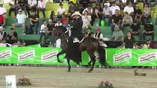ARABE DEL NARANJITO, GRAN CAMPEÓN RESERVADO TROCHA Y GALOPE  LA VIRGINIA GRADO B 2026