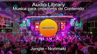 Free - Jungle - Norimaki (No Copyright)