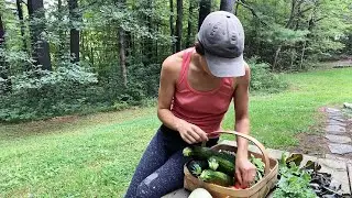 #25 Preserving & freezing our forest gardens harvest for the winter