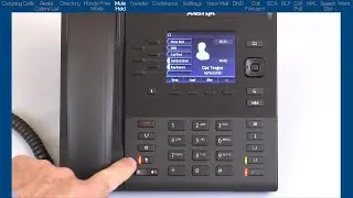Mitel 6867i Phone: How to Use Hold and Mute