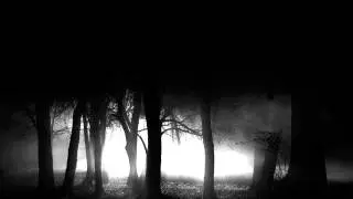 Black - LiveGian