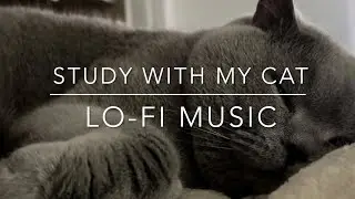 Study with my cat 🐈&zwj;⬛❄️ | Walking through snow sound | Lo-fi music | Scene changes