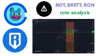 Coin analysis not brett ron