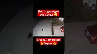 ДПС ходимлари хайратда #cover #live #music #song #топ #explore