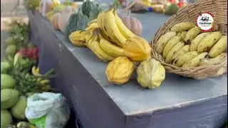 Inauguración del Túnel de Secado para Cacao Fermentado en el vivero La Esperanza del Poblado C-21