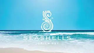 Seashells Jurien Bay
