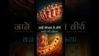 वीर्य निर्माण की वैज्ञानिक प्रक्रिया |