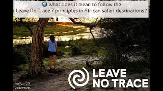 Applying 🌿 Leave No Trace 7 Principles on Safari Destinations 🌍🦁