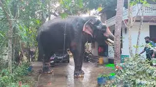 Public ആയി ഇങ്ങനെയൊക്കെ ചെയ്യുന്നത് തെറ്റല്ലേ ????