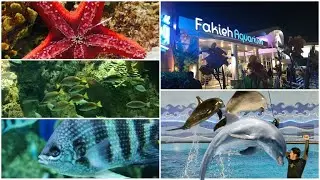 جولة في حوض الأسماك في فقيه اكواريوم جدة Jeddah Aquarium