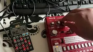 Acid vaccination Part 5 : Pocket Operator Po 14 sub & Behringer RD6 Jam 💉💉💉🪓🪓