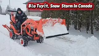 bão  tuyết Snow Storm In Canada