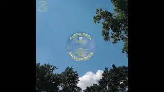 The Vendetta Suite - Neon Secrets (Max Essa Remix)