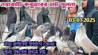 নয়াবাটি কবুতর হাট খুলনা ০৩-১-২৫ pigeon market in bangladesh,khulnapigeon market#নয়াবাটি কবুতরের হাট
