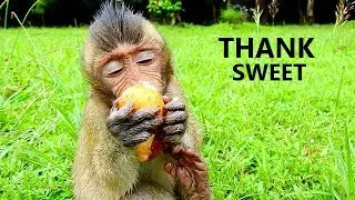 Adorable baby Nelson fall asleep with sweet fruit || Baby happiness lonely on grass food in mouth.