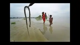 CISF Men Given Boots To Protect Them From Snakes And Scorpions After Chennai Floods