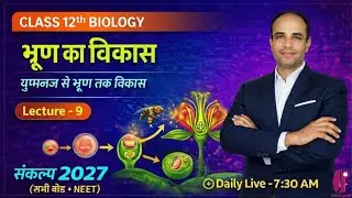 युग्मनज से भ्रूण तक विकास | Class 12 Biology | NEET