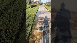 Persistent Irrigation Leaks and Safety Concerns - Sierra Cove, Viera Florida - 2/12/25