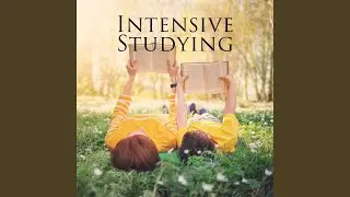 Soothing Study Break